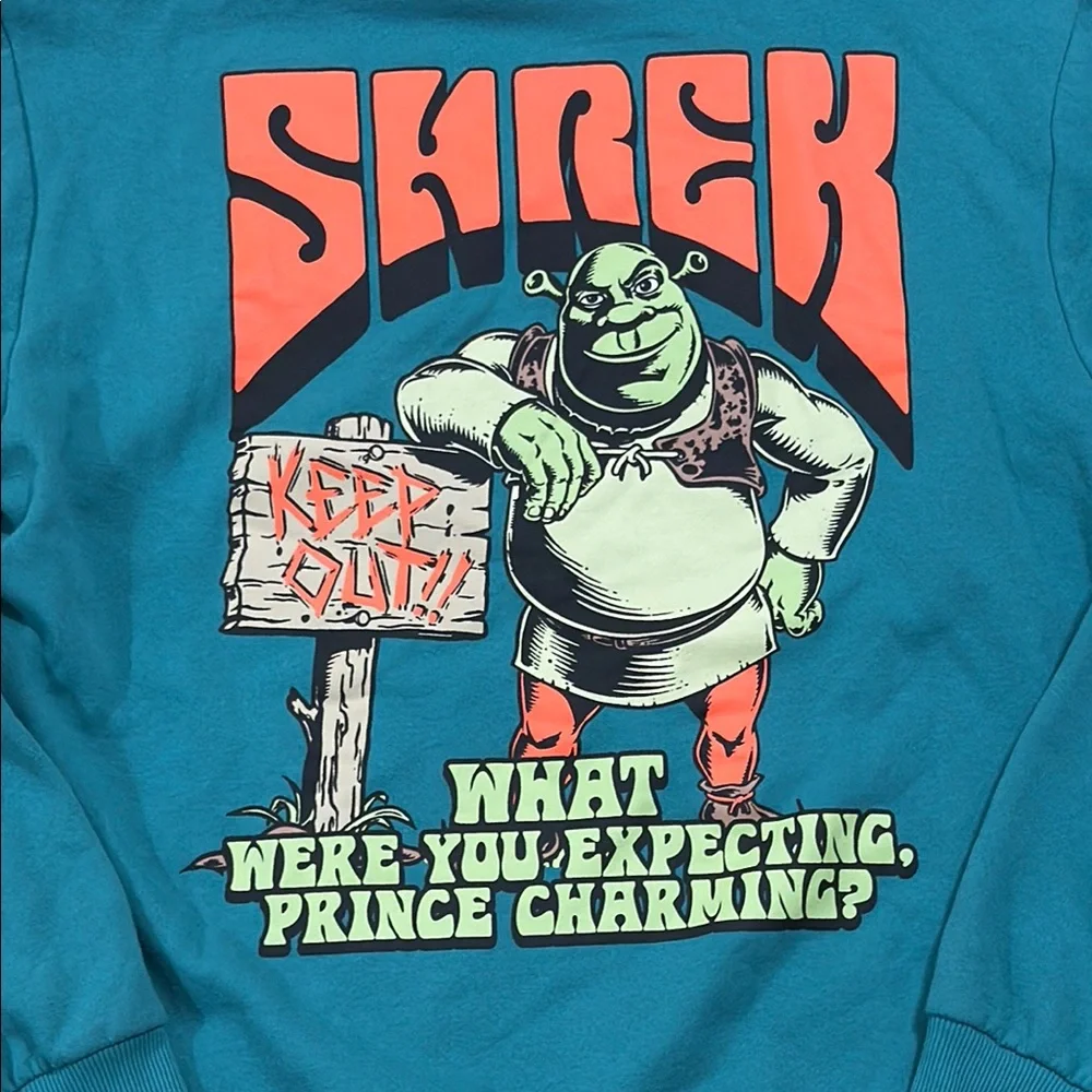 Shrek Beware Ogre Men's Sweatshirt Hoodie Double Sided Graphics Teal Size M